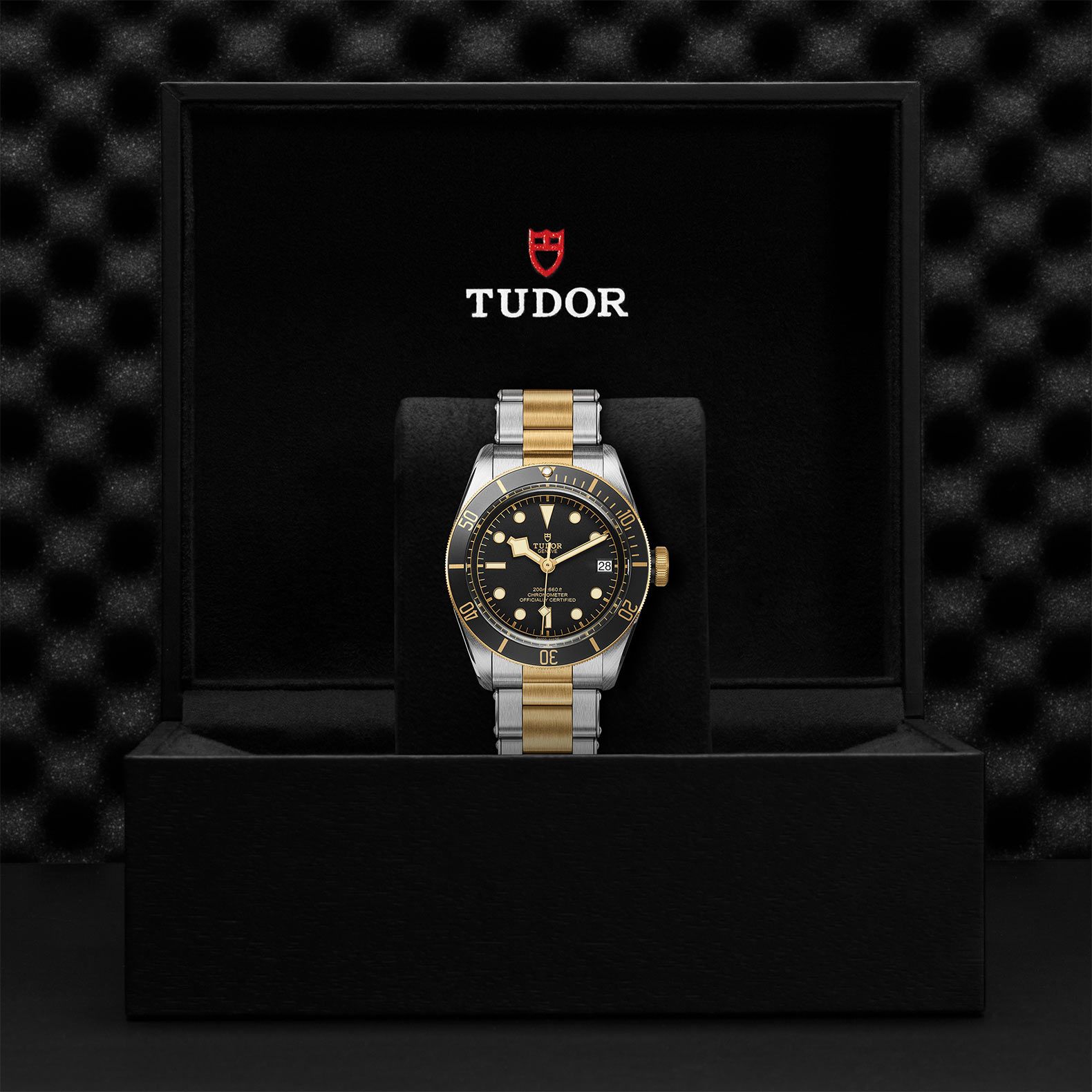 TUDOR Black Bay S&G 41 MM M79733N-0008