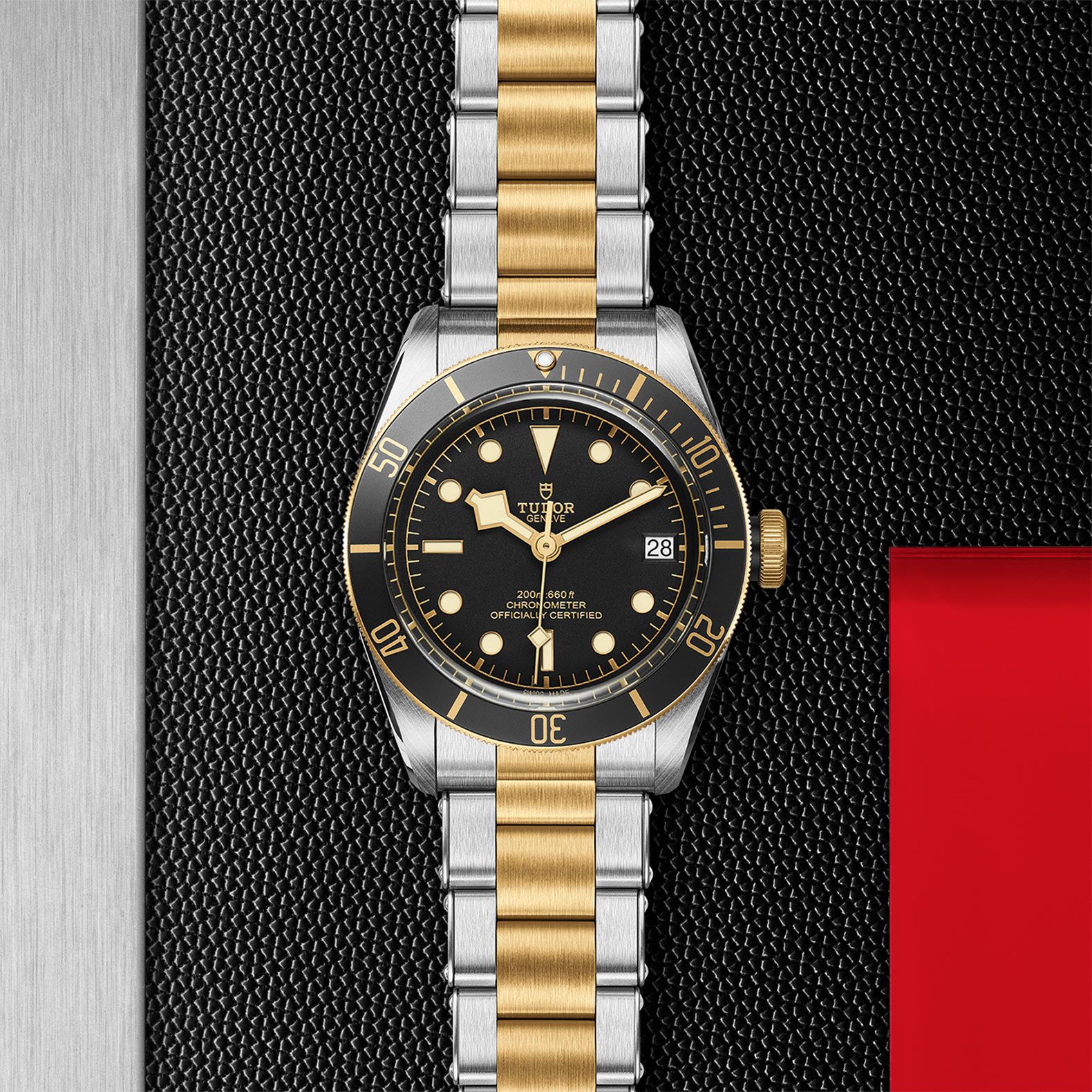 TUDOR Black Bay S&G 41 MM M79733N-0008