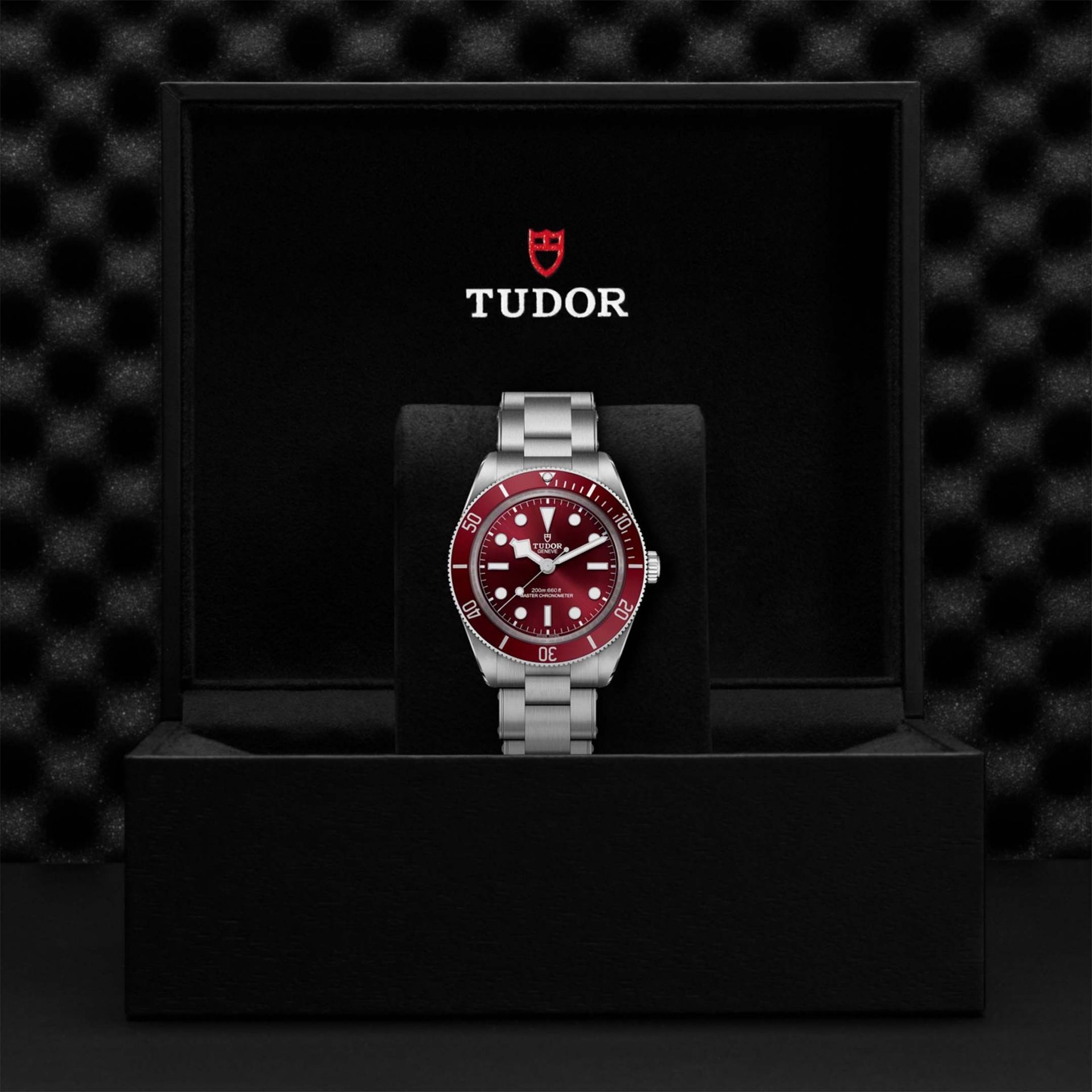 TUDOR Black Bay 58 39 MM M7939A1A0RU-0002