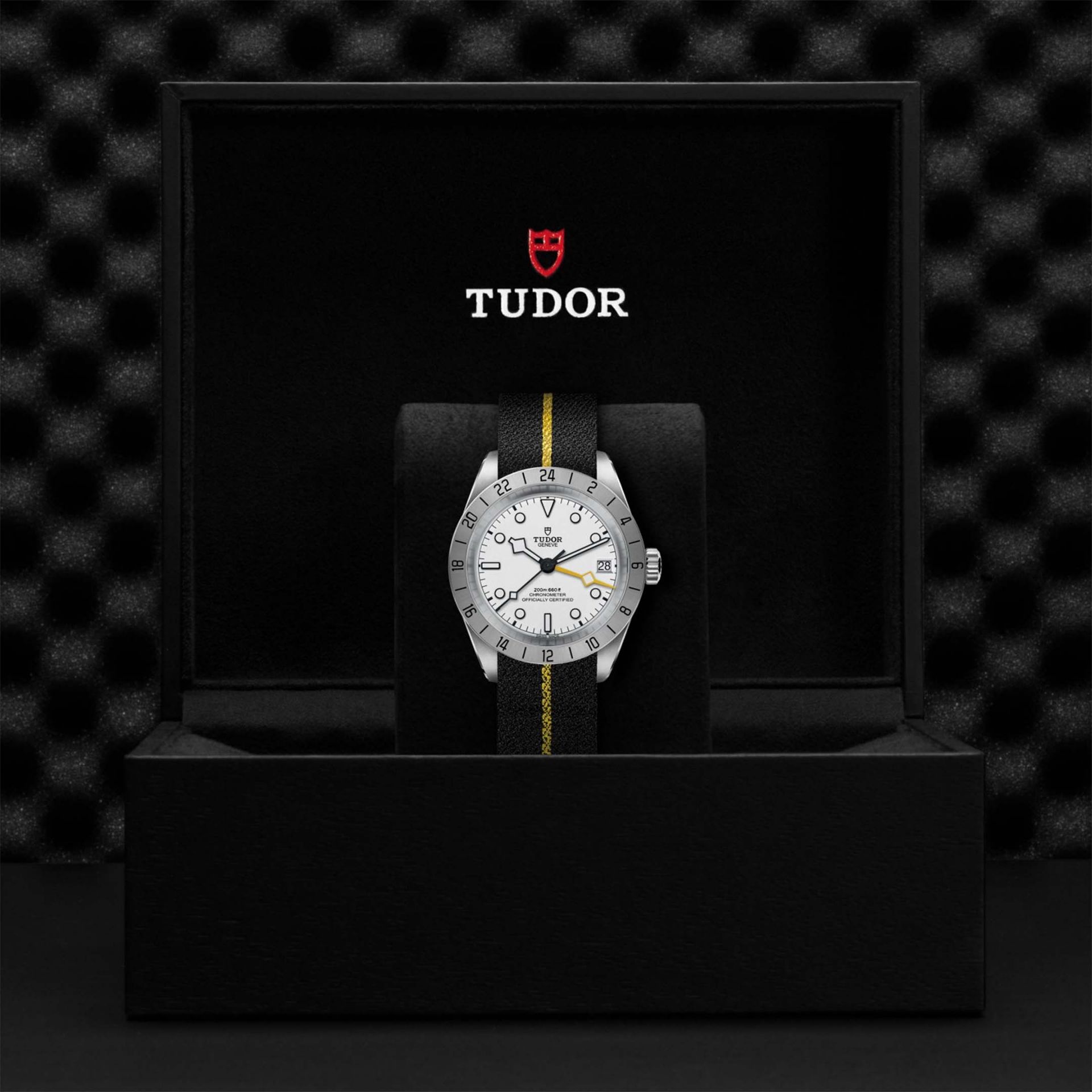 TUDOR Black Bay Pro 39 MM M79470-0005