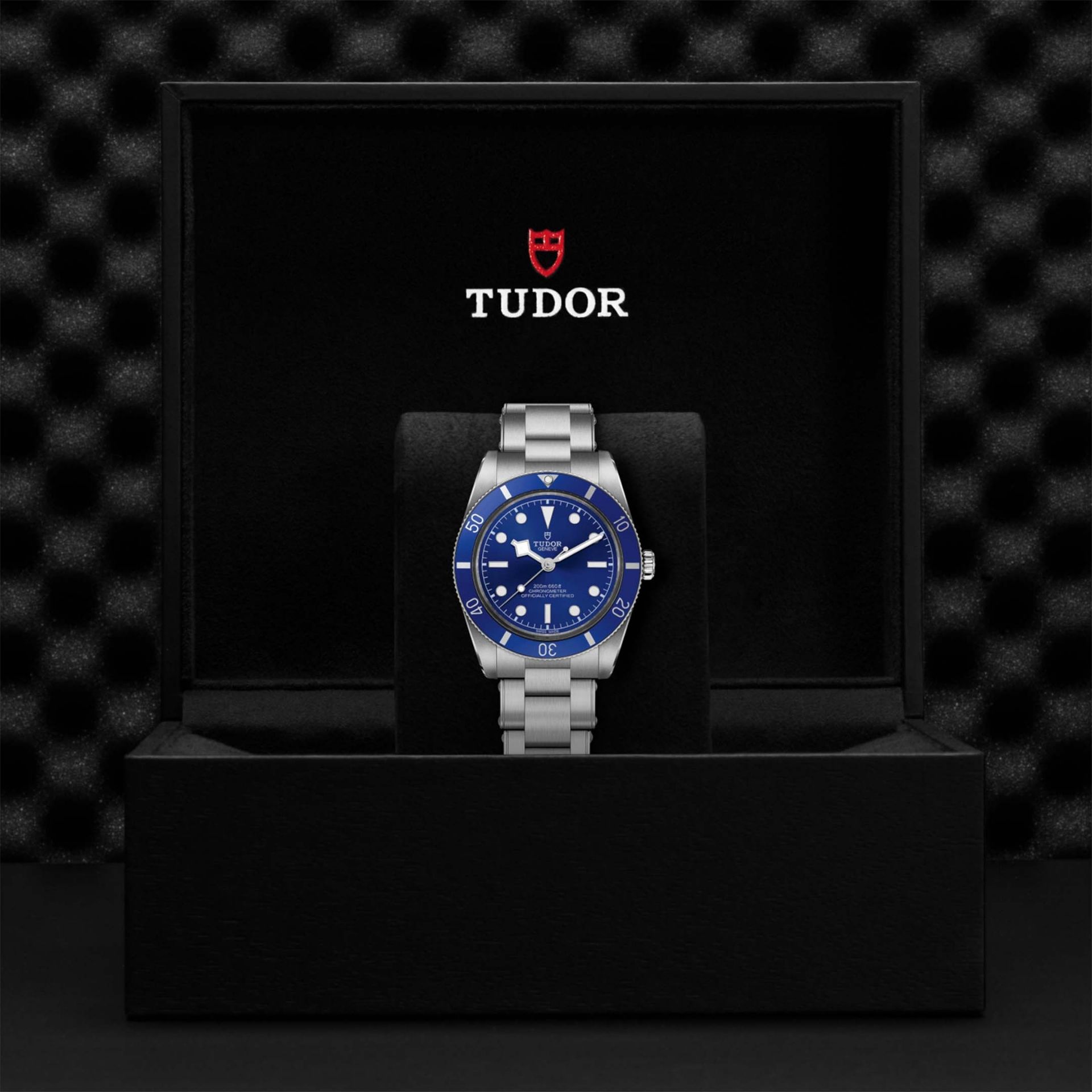 TUDOR Black Bay 54 37 MM M79000B-0001