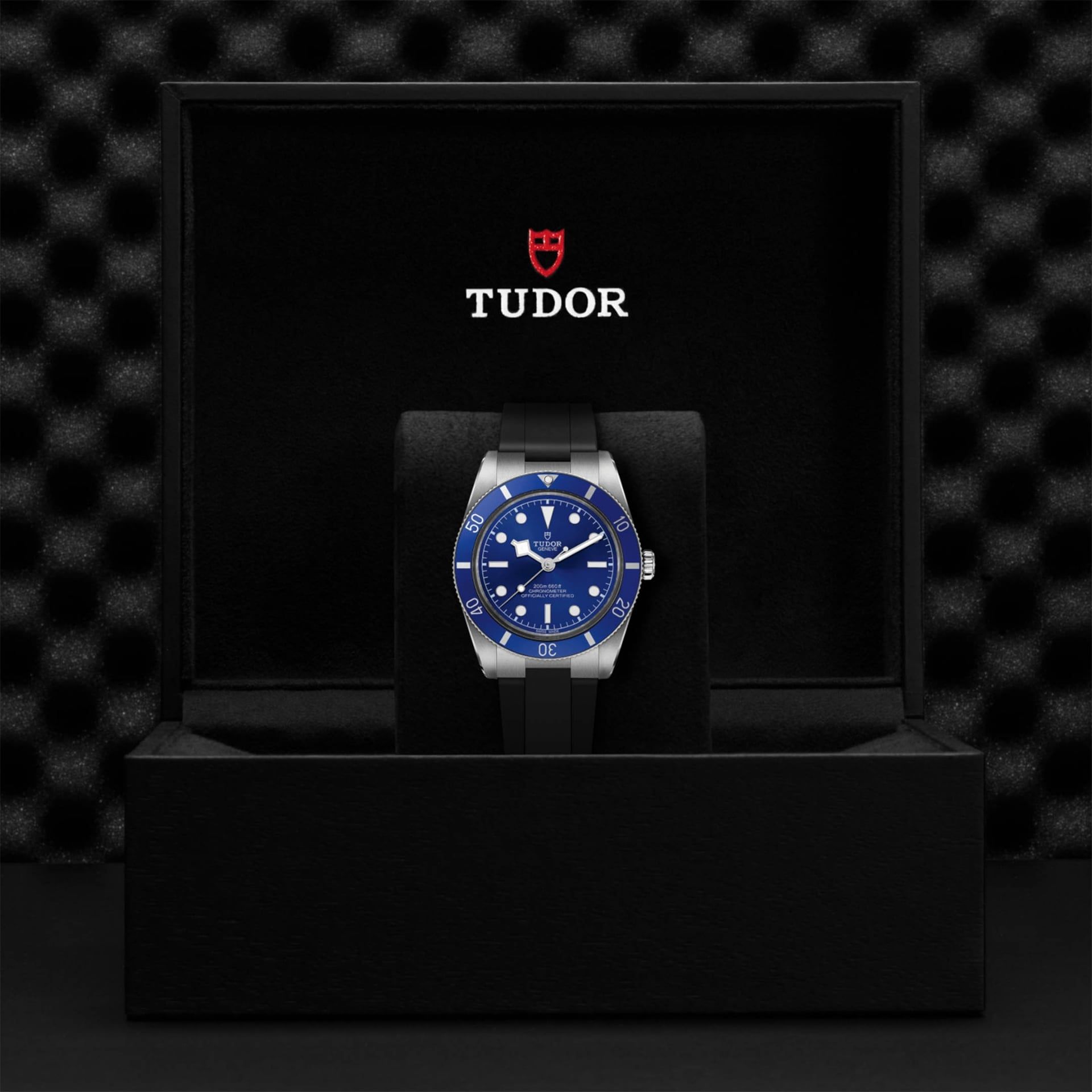TUDOR Black Bay 54 37 MM M79000B-0002