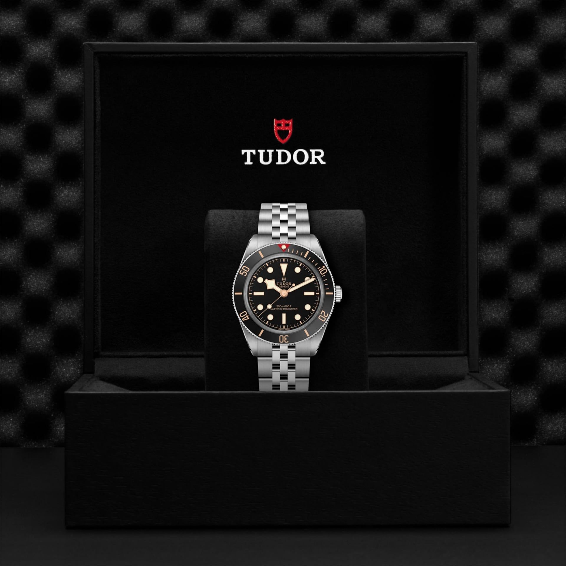 TUDOR Black Bay 58 39 MM M7939A1A0NU-0001