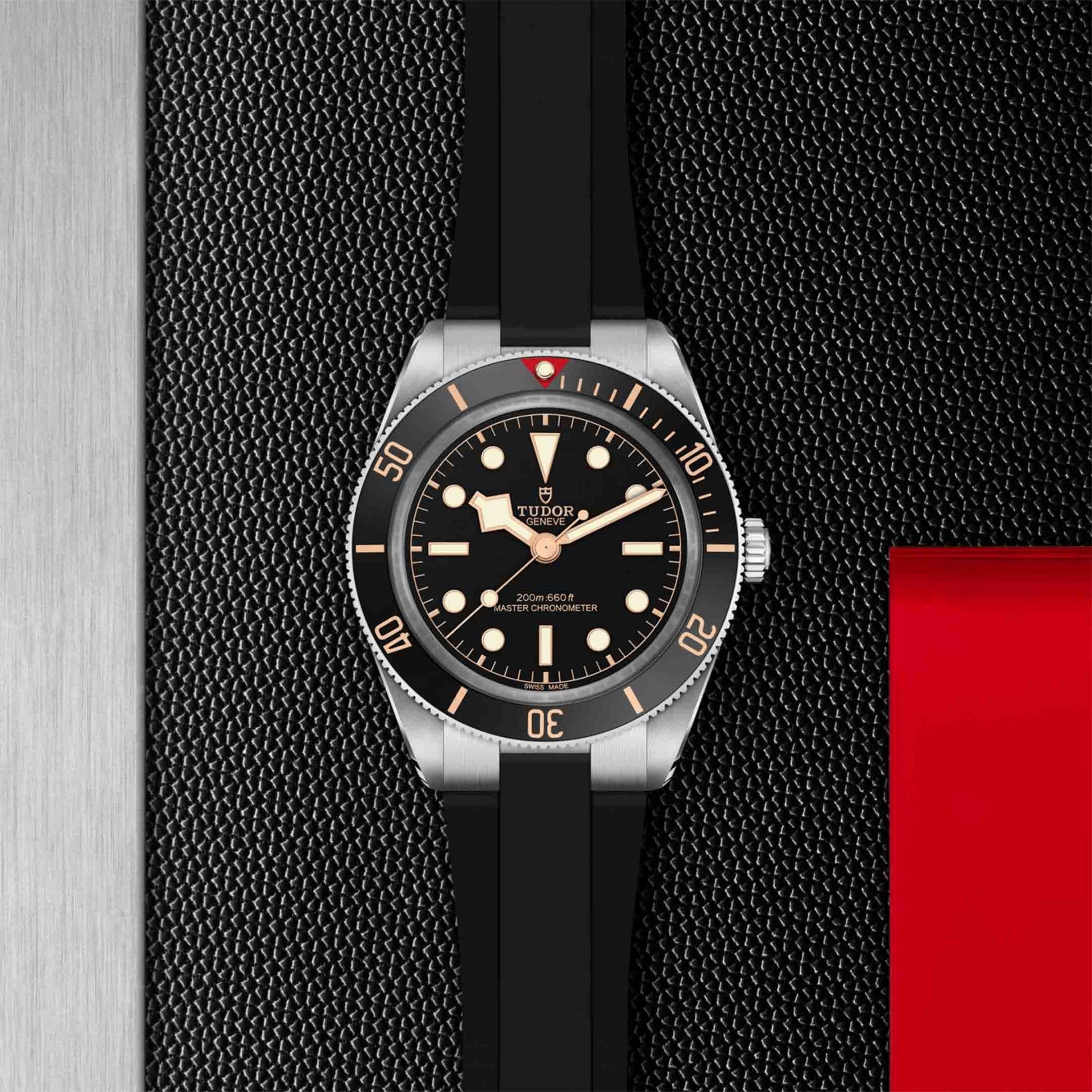 TUDOR Black Bay 58 39 MM M7939A1A0NU-0003