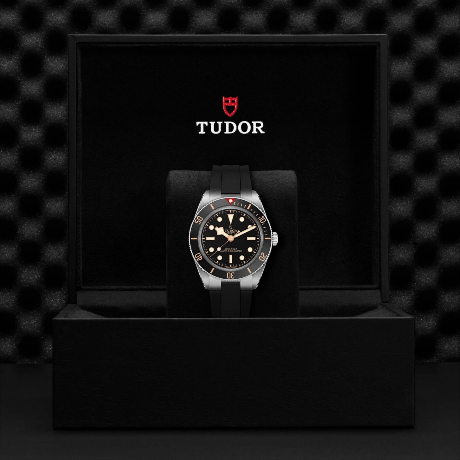 TUDOR Black Bay 58 39 MM M7939A1A0NU-0003